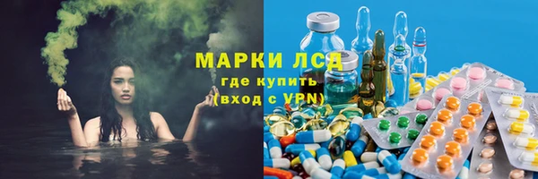 шишки Баксан