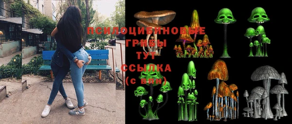 соль ск Аркадак