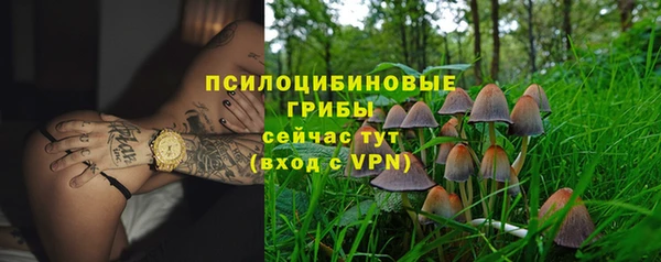 шишки Баксан