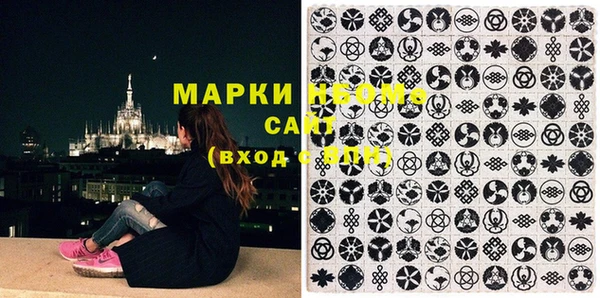 шишки Баксан
