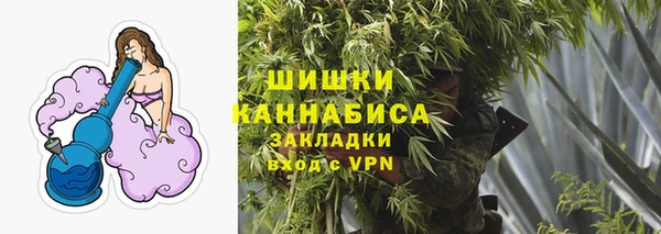 шишки Баксан