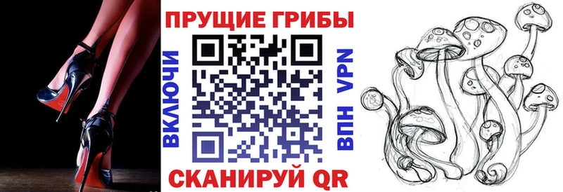 Псилоцибиновые грибы Magic Shrooms  Нязепетровск 